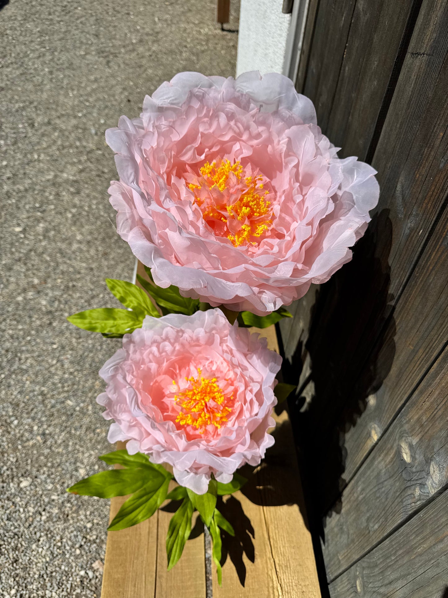 XXL Seidenblume Pfingstrose