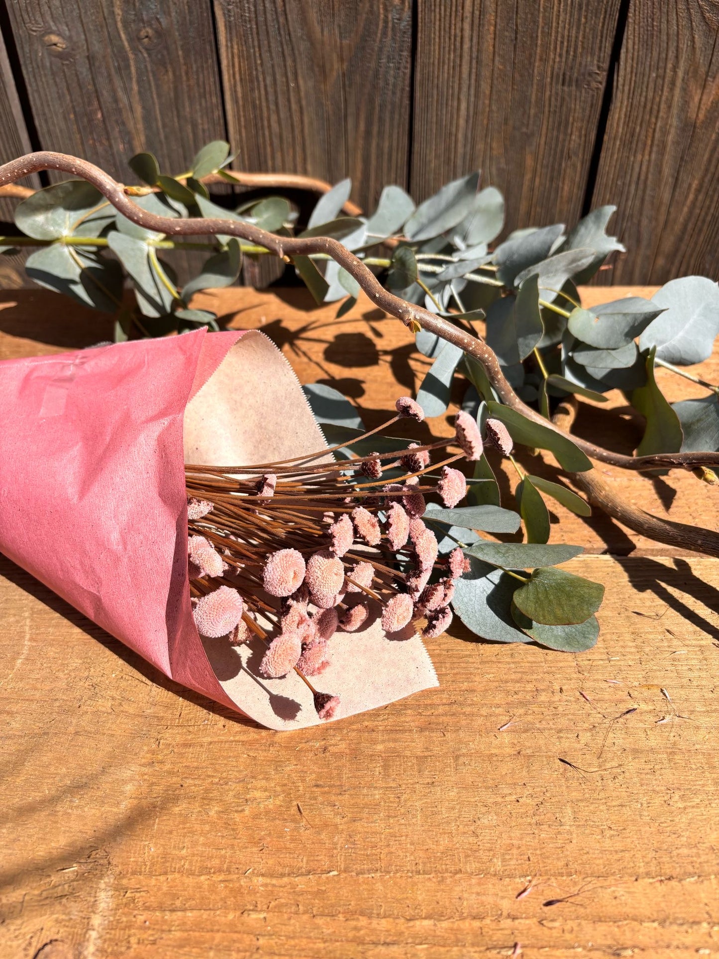 Scabiosa Pods – Trockenblumen mit Struktur