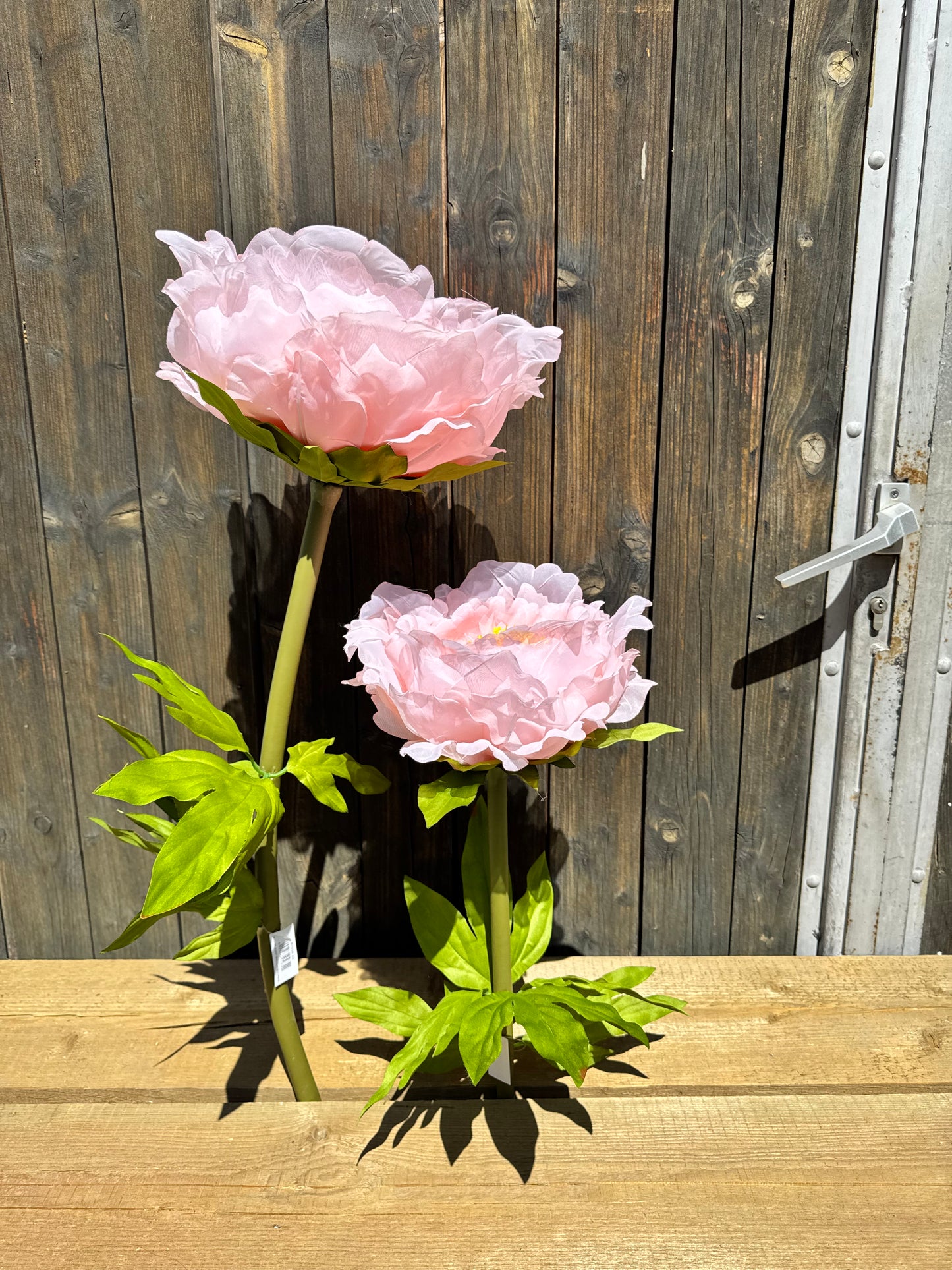 XXL Seidenblume Pfingstrose