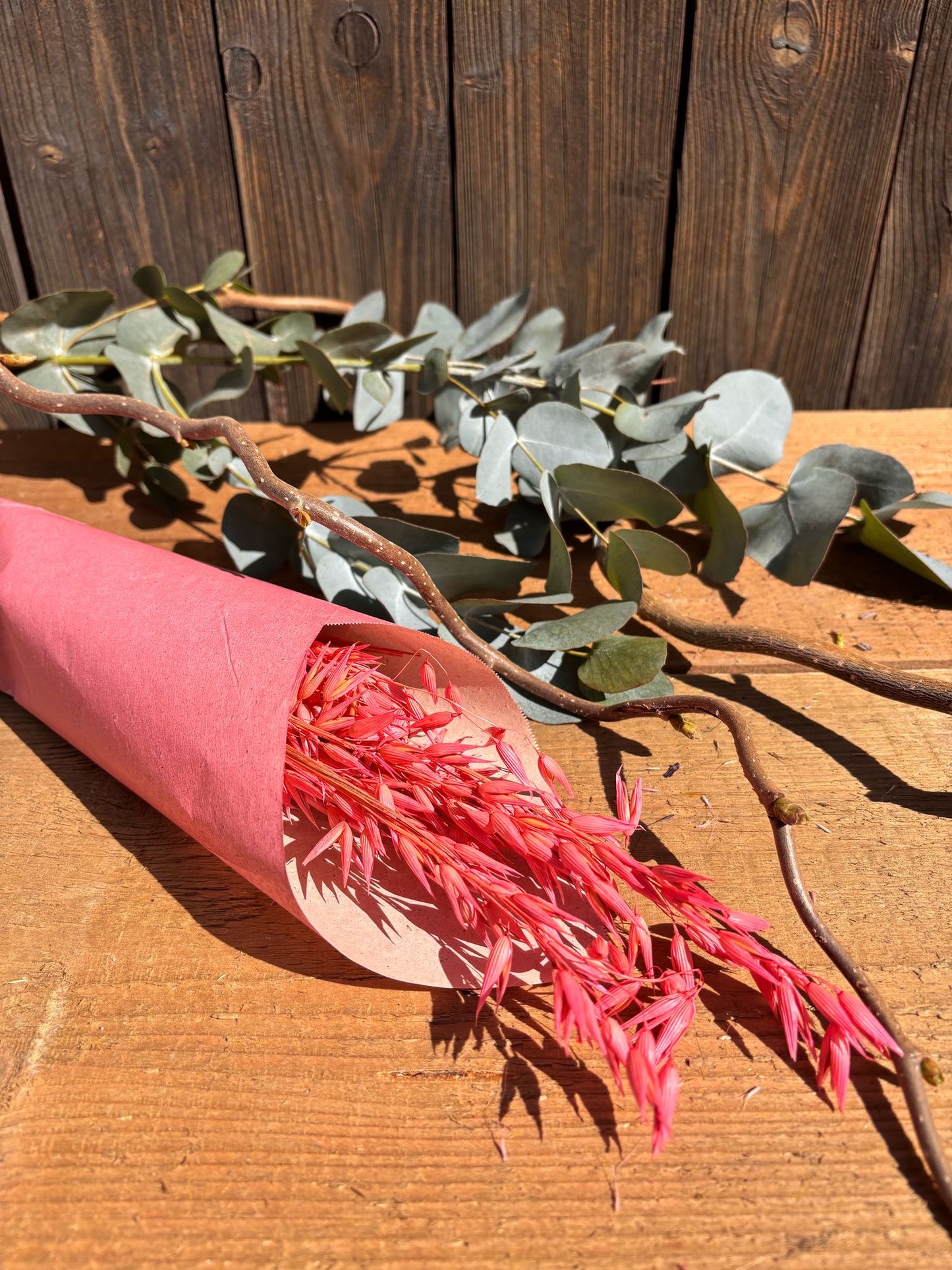 Avena – Trockenhafer in Farbe