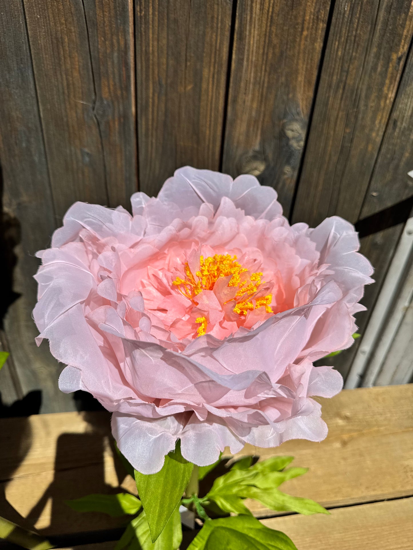 XXL Seidenblume Pfingstrose