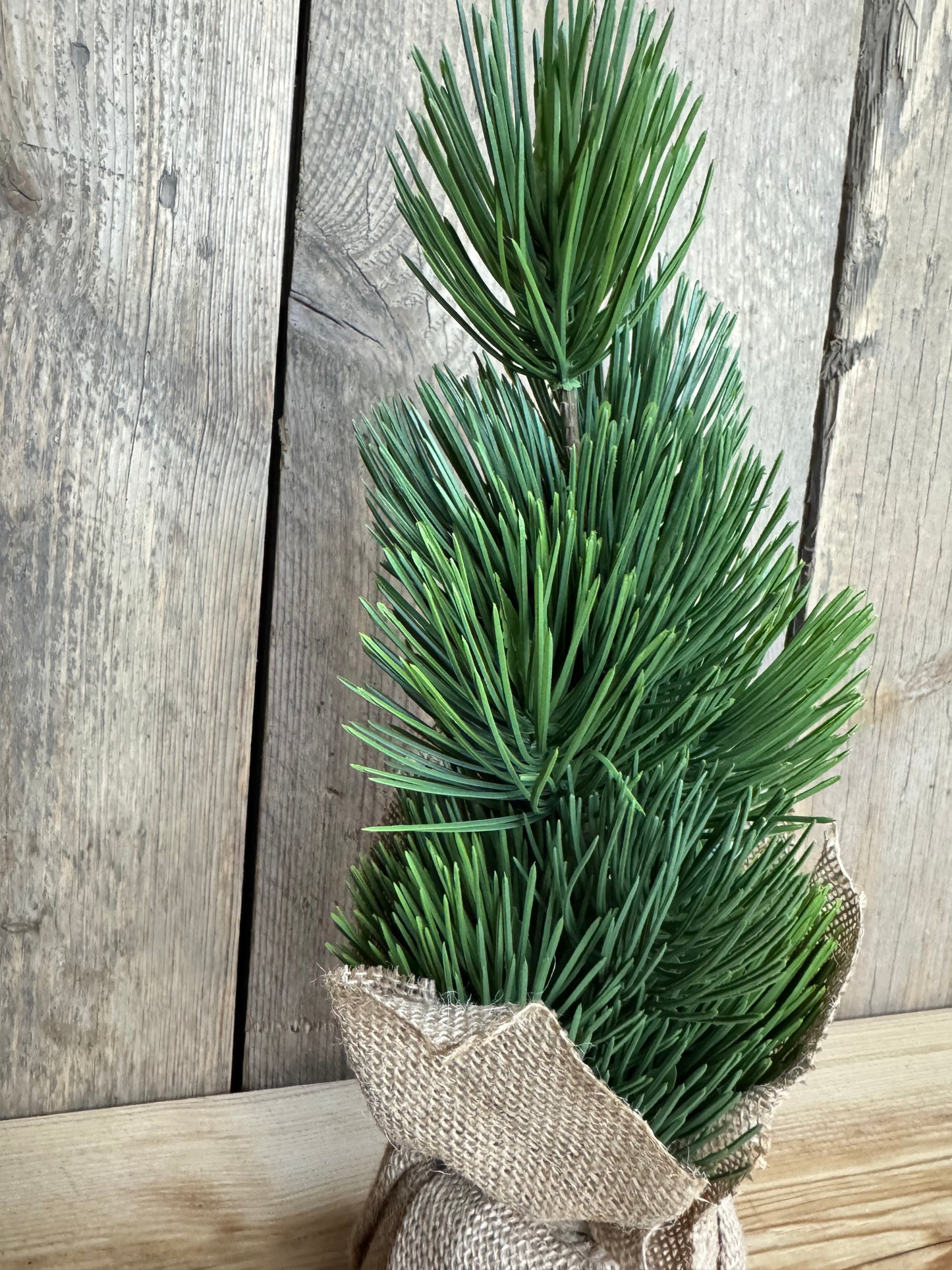 Kiefer im Jutesack (Kunststoff)