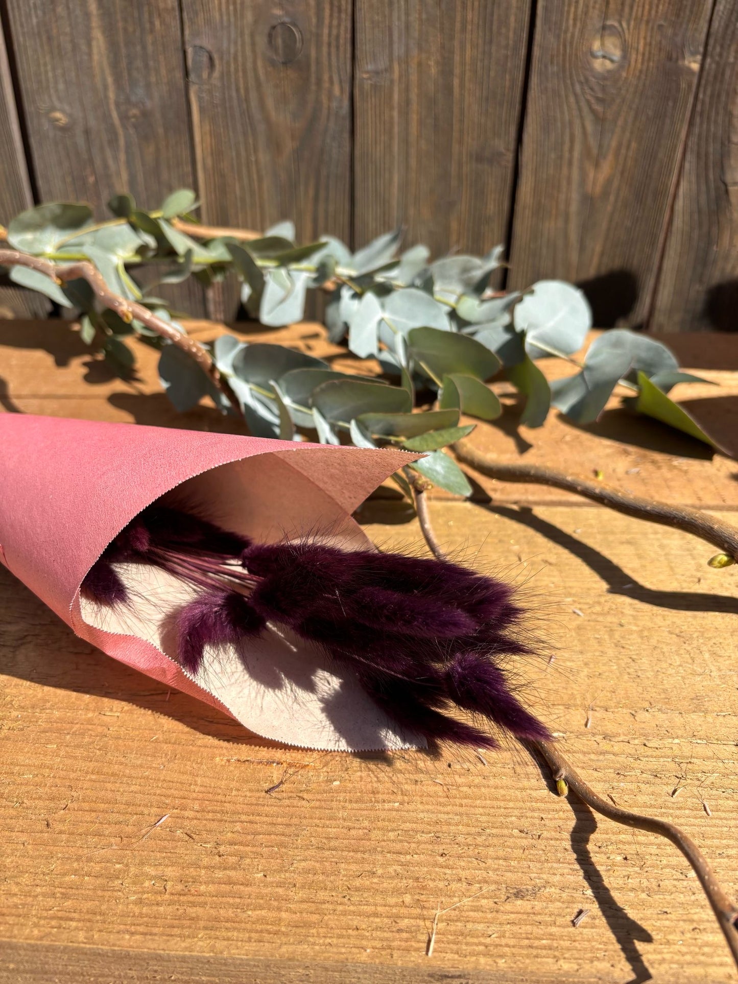 Lagurus – Trockenblumen-Bund