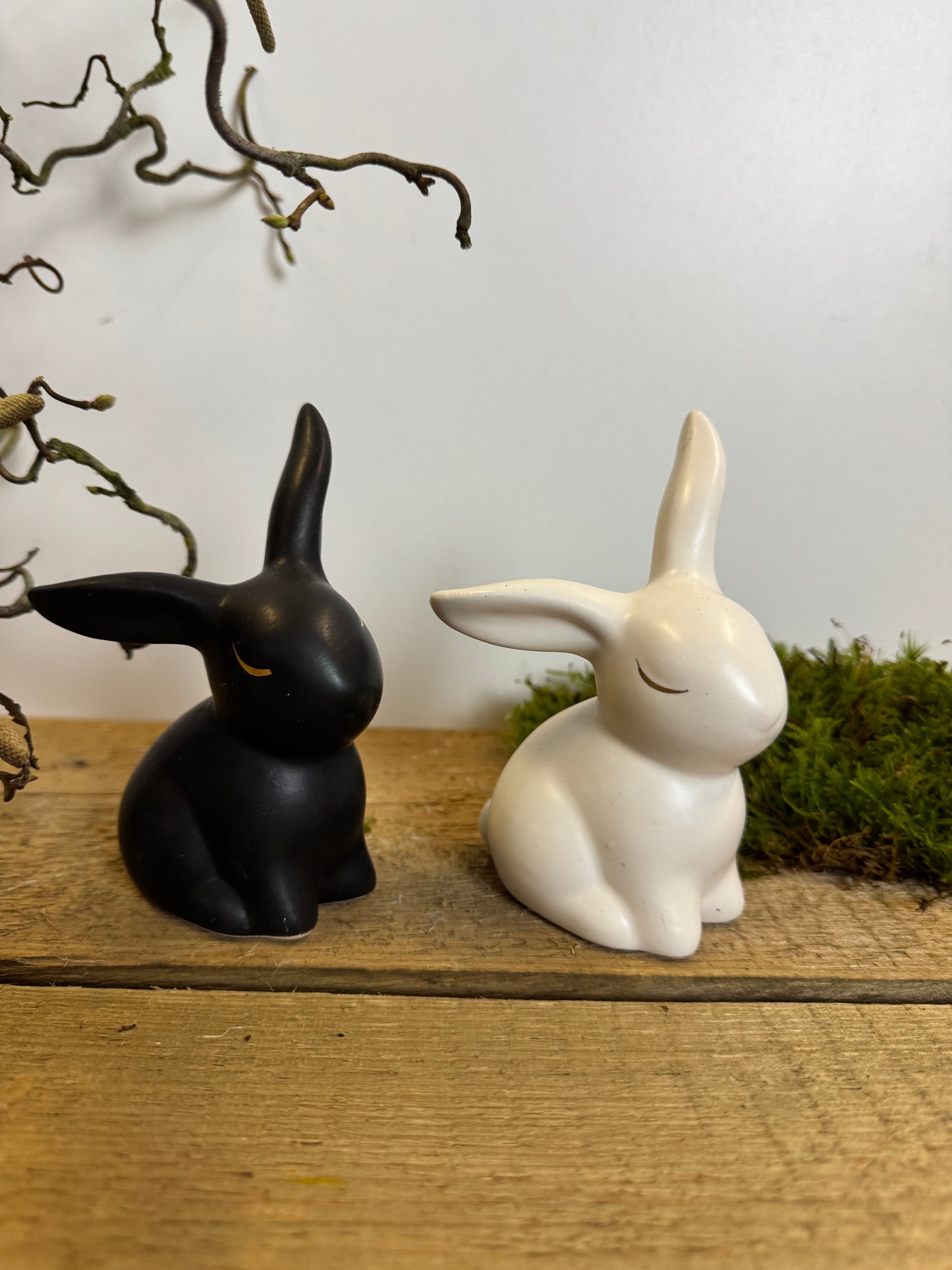 Dreamy Bunnies