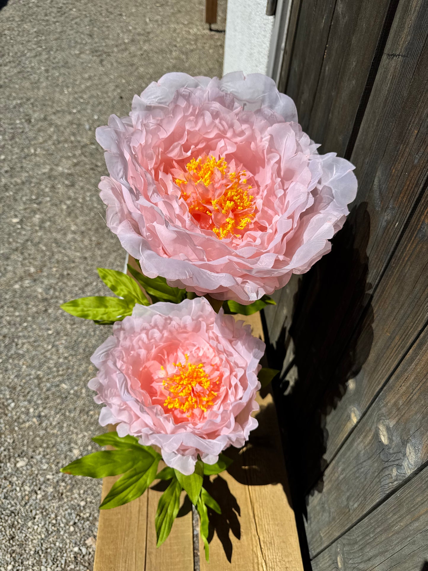 XXL Seidenblume Pfingstrose