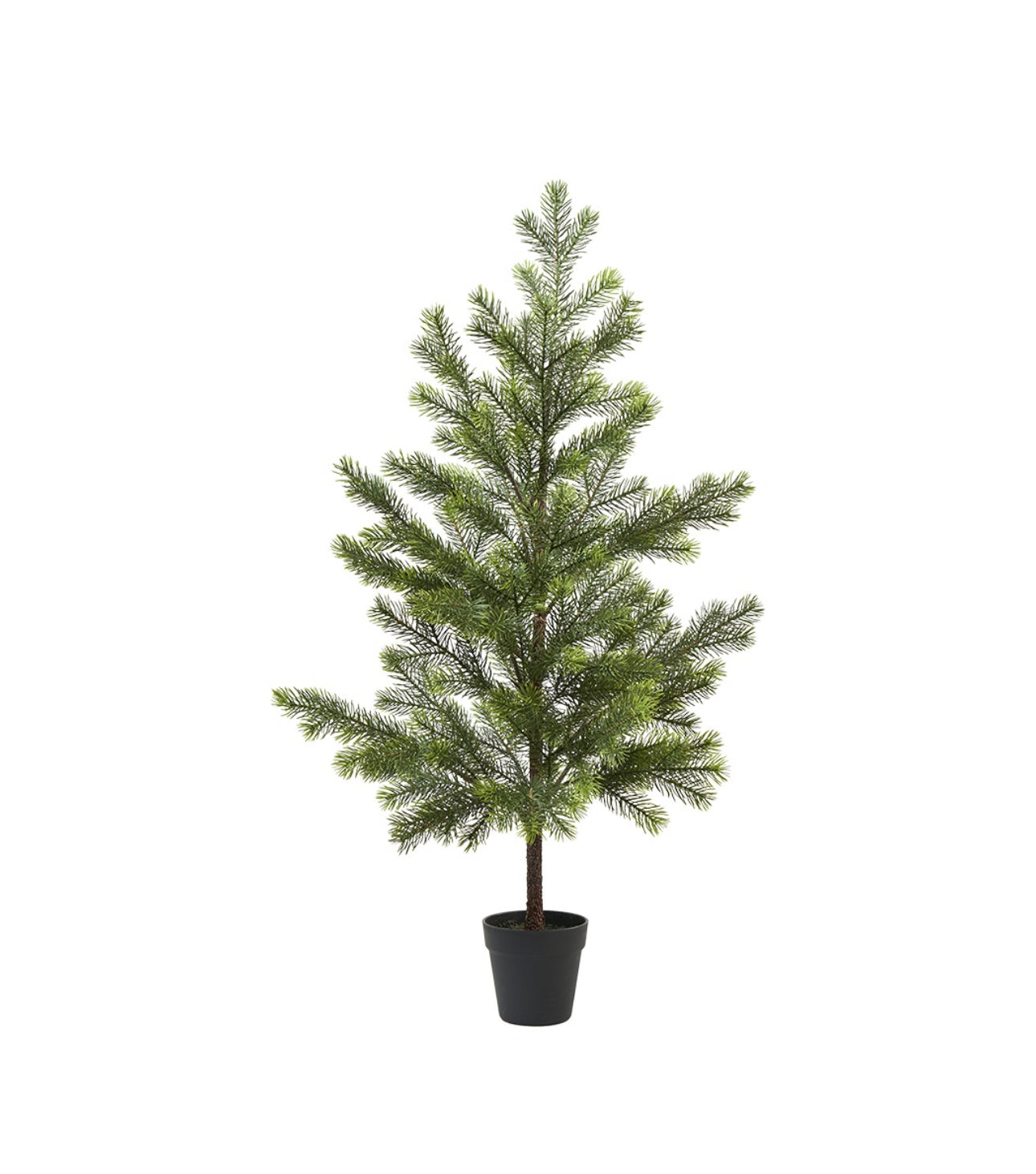 Tannenbaum „World“