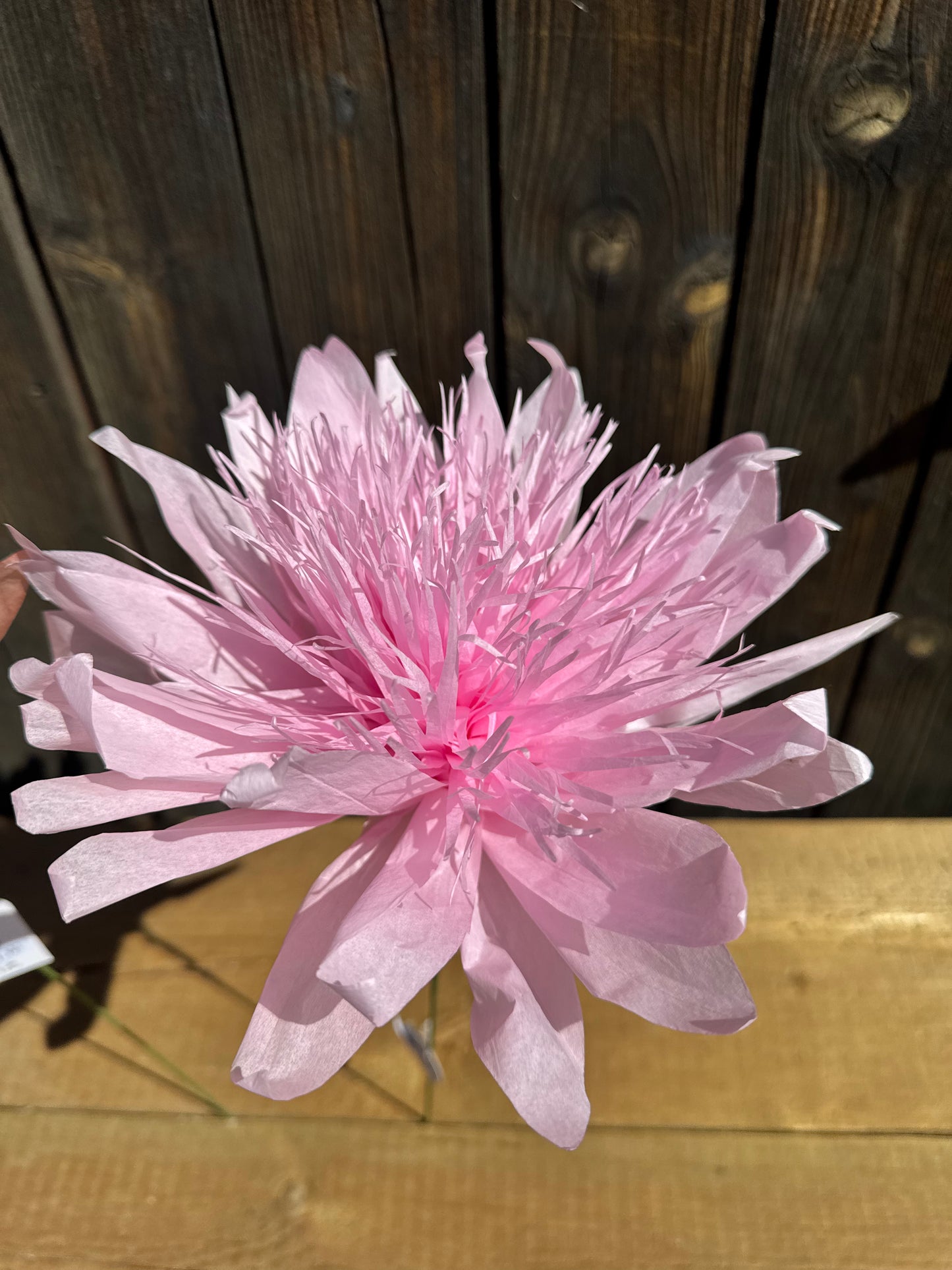 Papierblume