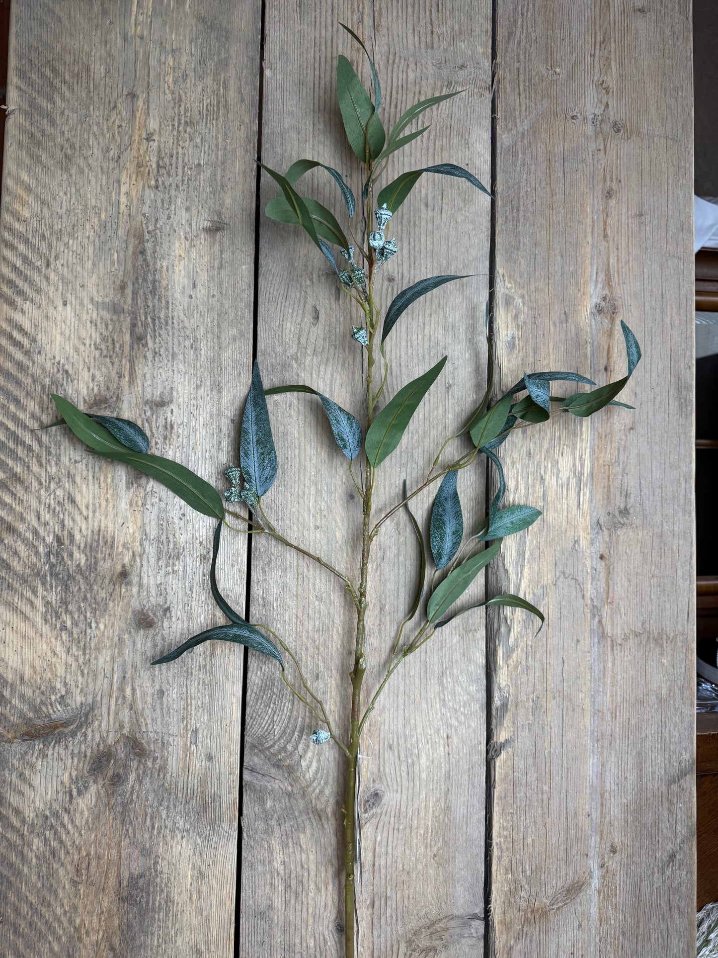 Eucalypthus (Kunststoff)