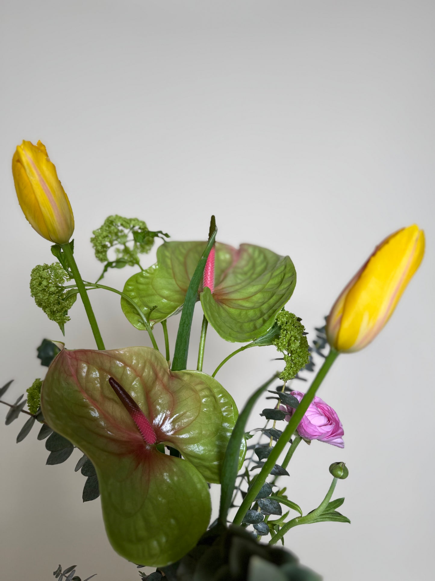 Bloom Deluxe
