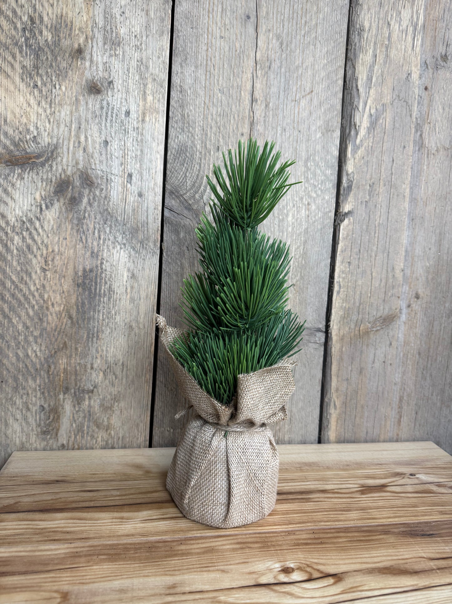 Kiefer im Jutesack (Kunststoff)