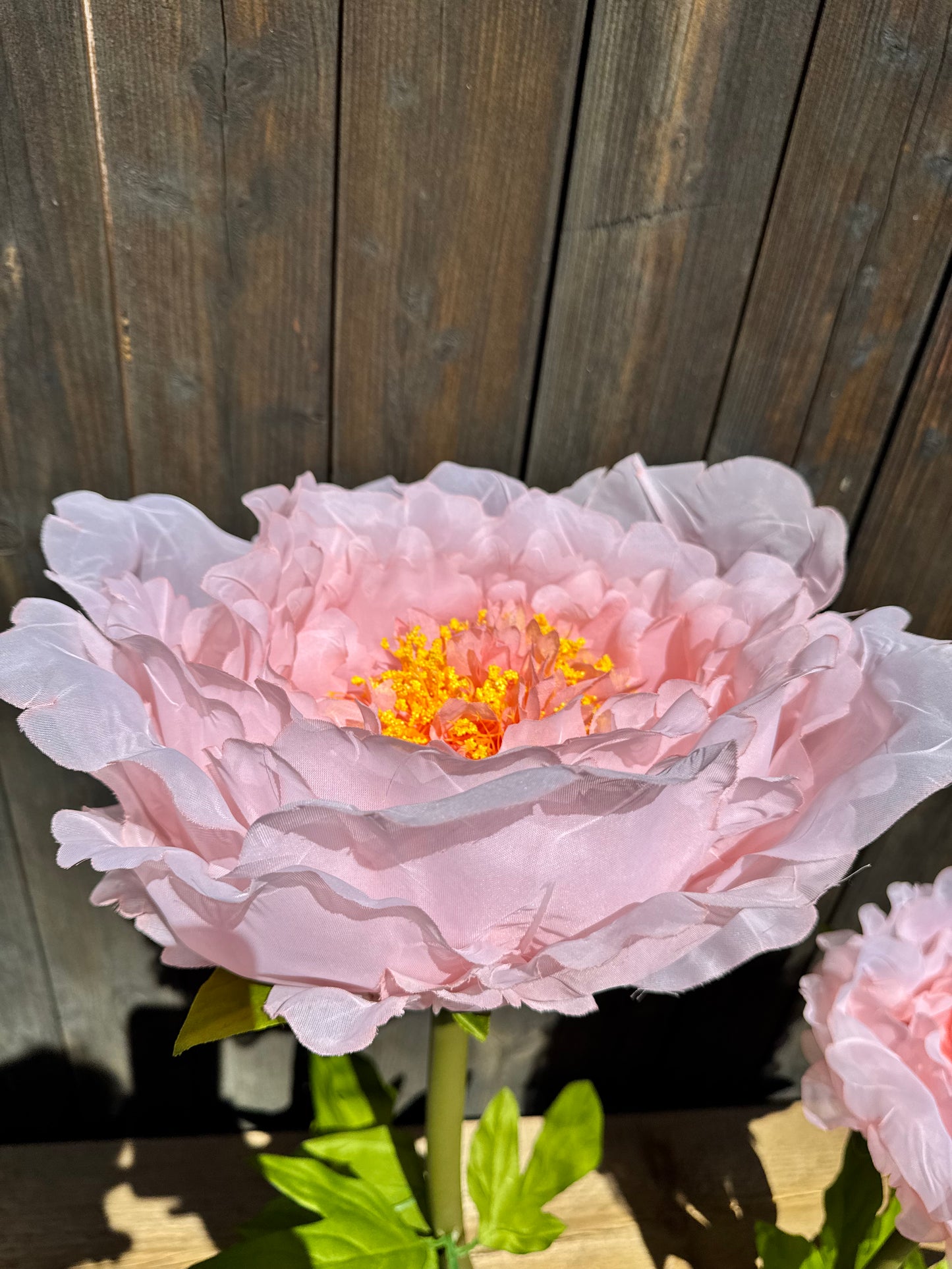 XXL Seidenblume Pfingstrose