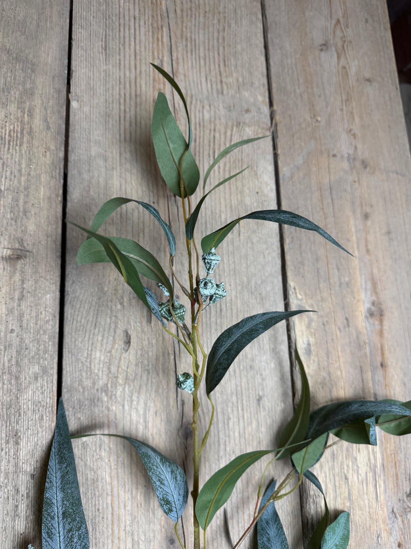 Eucalypthus (Kunststoff)