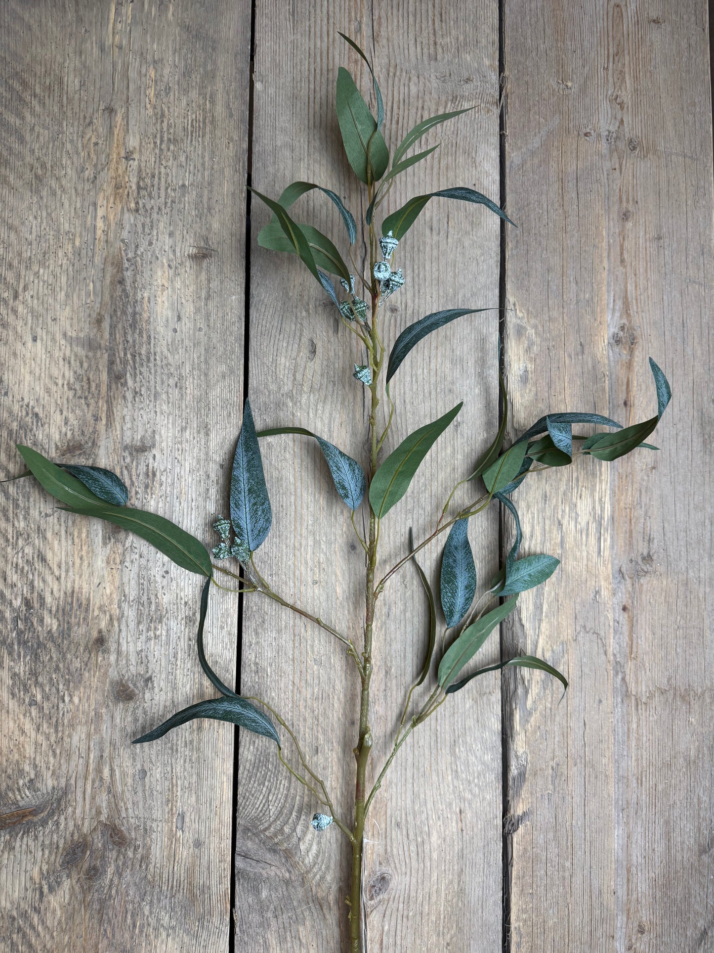 Eucalypthus (Kunststoff)