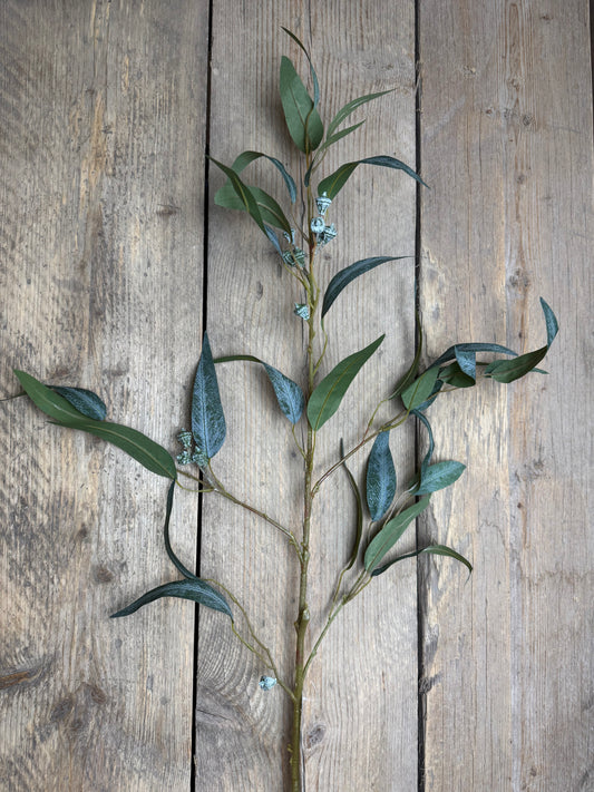 Eucalypthus (Kunststoff)