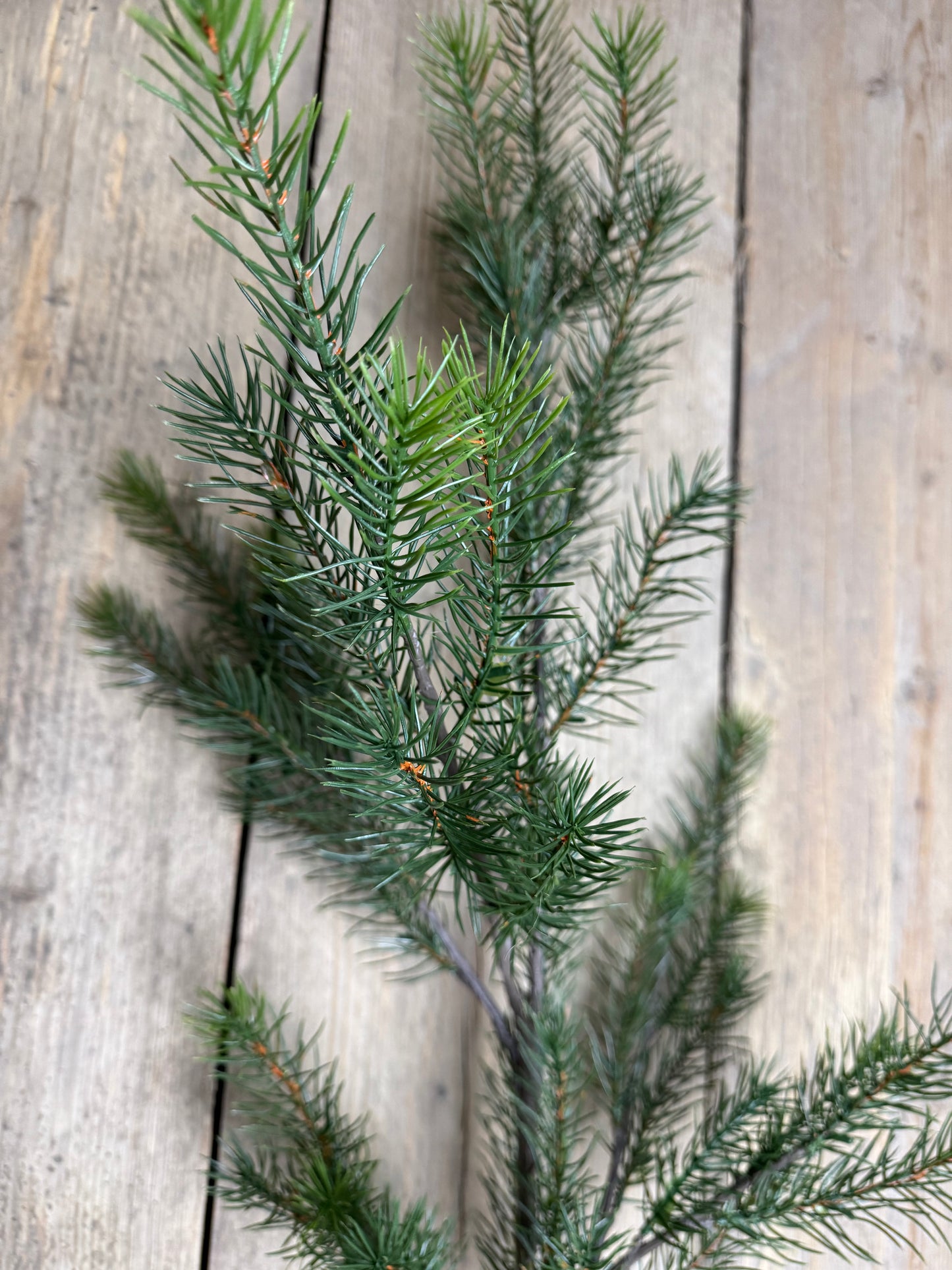 Tannenzweig (künstlich)