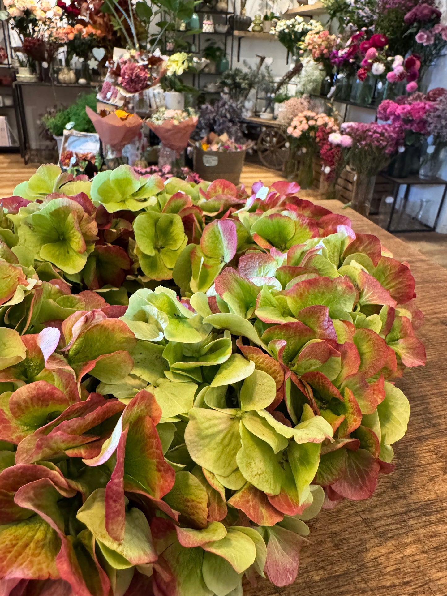 DIY - Hortensienkranz